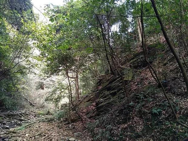 事故多发路段｜云南漾濞：驾车出行请注意这8处路段